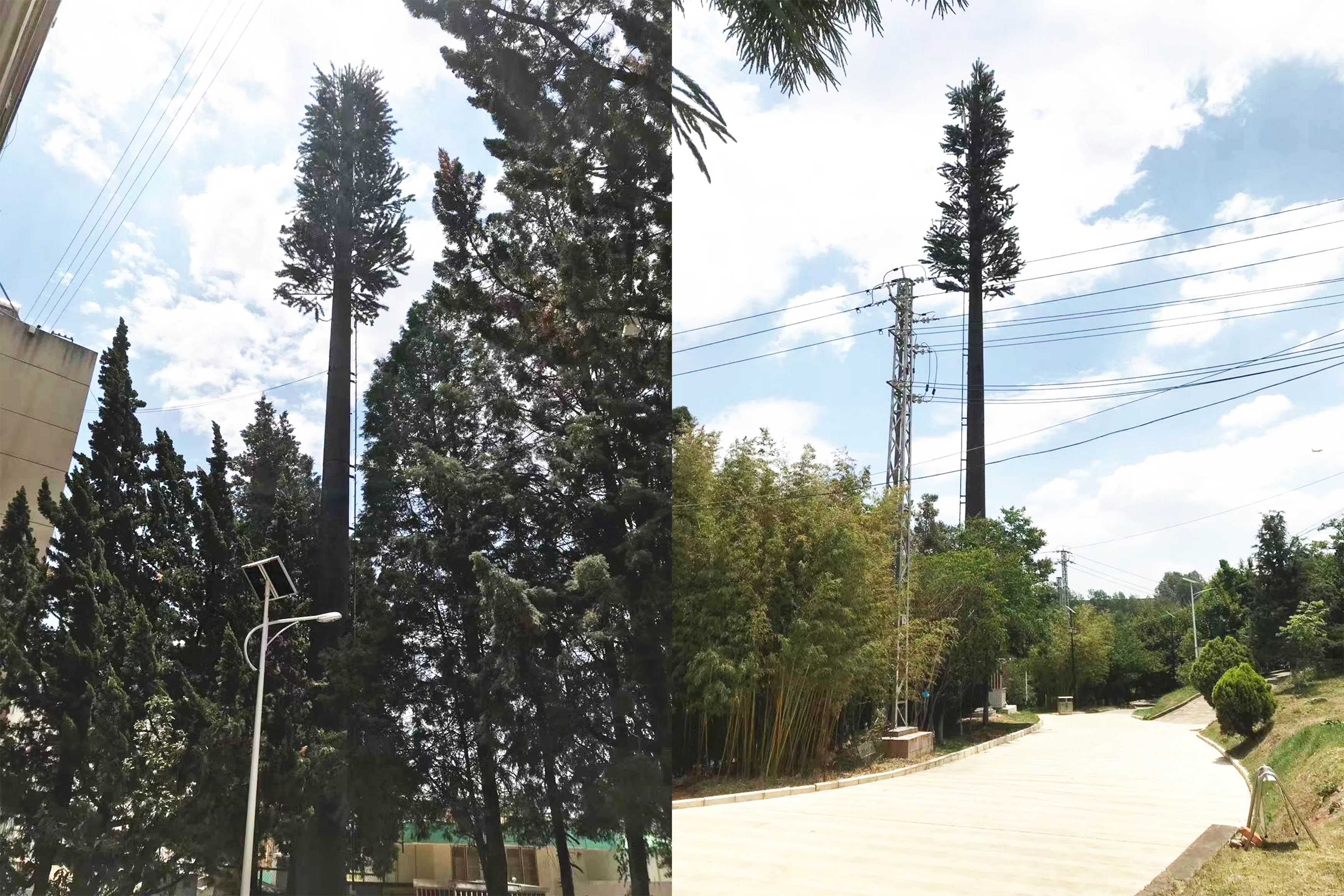 新建5g美化树基站